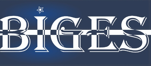 BİGES DENİM TEKSTİL GIDA SAN. İÇ VE DIŞ TİC. LTD.